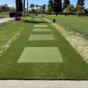 tee 20line