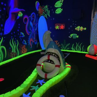 BLACKLIGHT MINI GOLF 13 IMG 8163 320x320 1