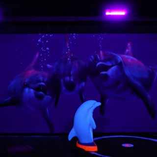 BLACKLIGHT MINI GOLF 17 MainEvent Mjolby 3 320x320 1